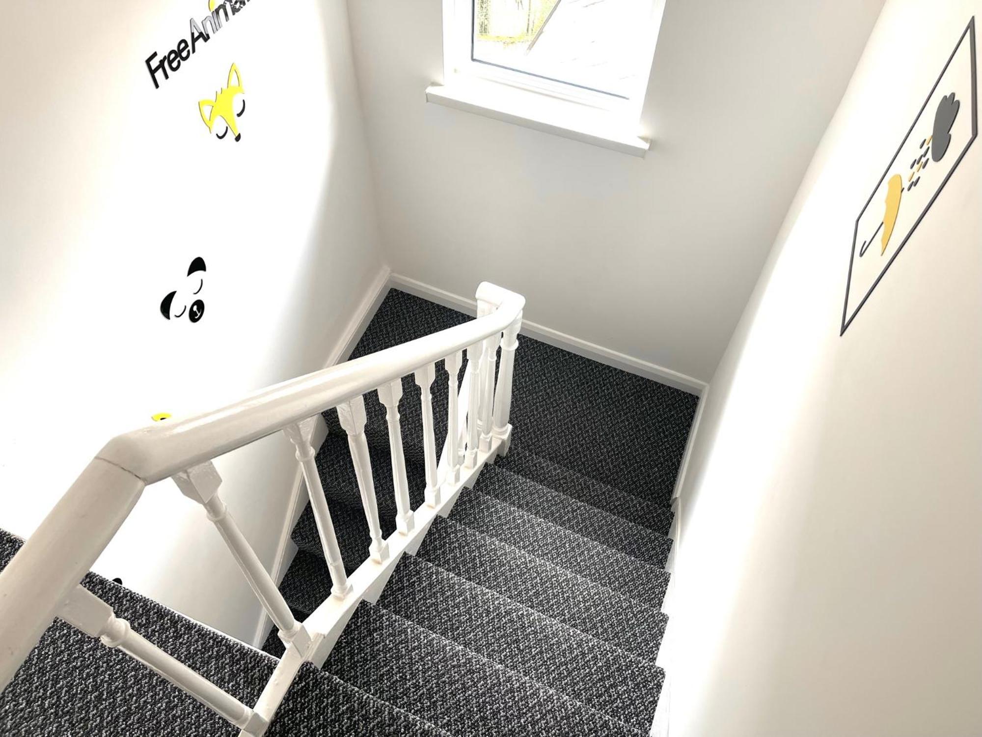 Entire Yellowapt Near Belfast City Centre - Free Parking - Up To 3 Guests - 2 Beds Exterior photo